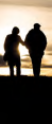 Versatile Collection Stock images