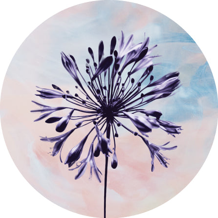 COLLECTION D'IMAGES POUR URNE DE BOIS TEINT