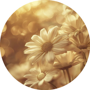COLLECTION D'IMAGES POUR URNE DE BOIS TEINT