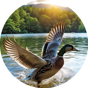 COLLECTION D'IMAGES POUR URNE DE BOIS TEINT