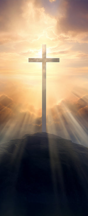Versatile Collection Stock images