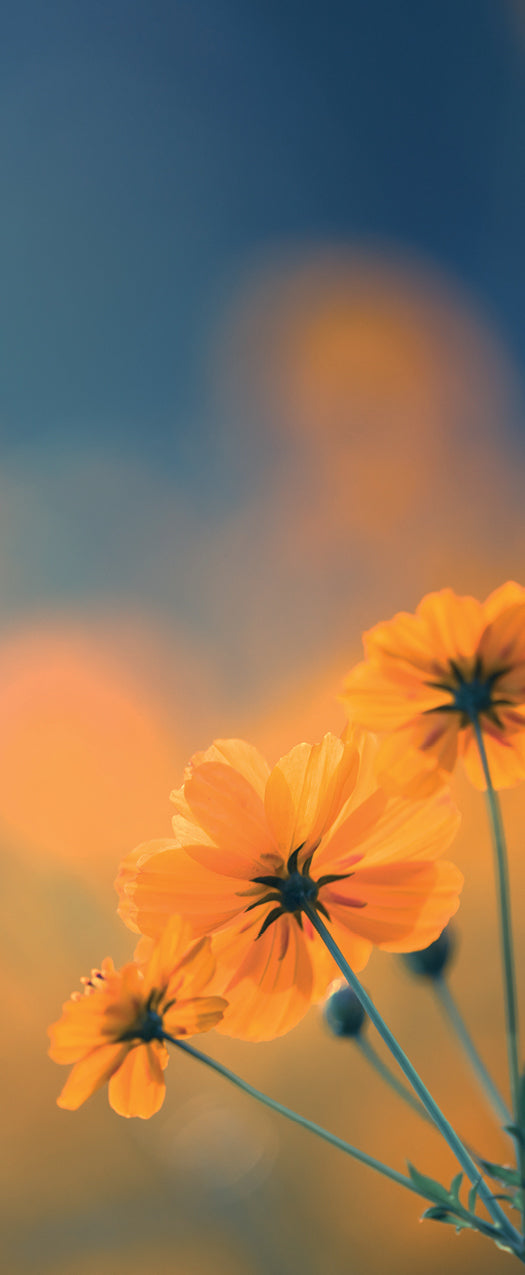 Versatile Collection Stock images