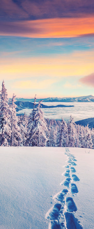 Versatile Collection Stock images