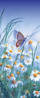 Versatile Collection Stock images