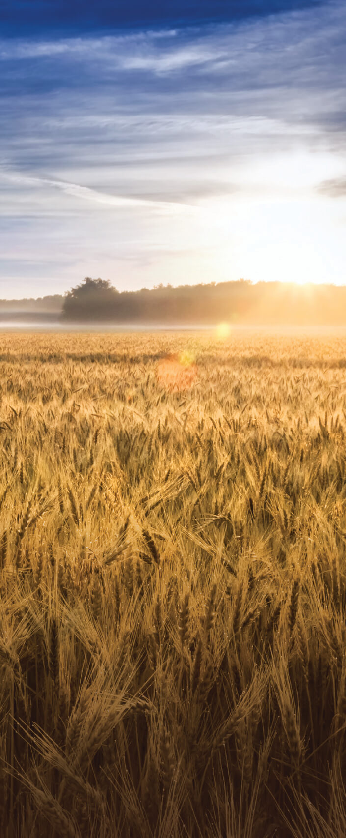 Versatile Collection Stock images