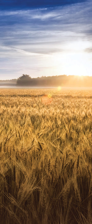 Versatile Collection Stock images