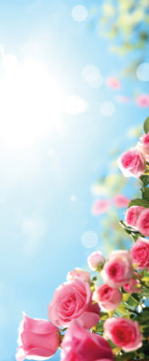 Versatile Collection Stock images