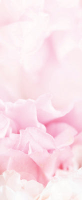 Versatile Collection Stock images