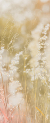 Versatile Collection Stock images
