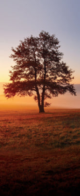 Versatile Collection Stock images