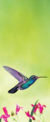 Versatile Collection Stock images
