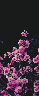 Versatile Collection Stock images