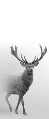 Versatile Collection Stock images