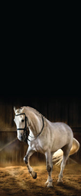 Versatile Collection Stock images