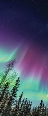 Versatile Collection Stock images