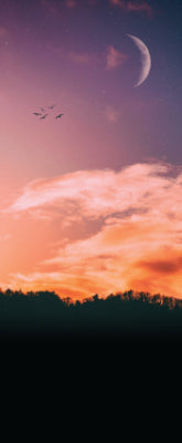 Versatile Collection Stock images
