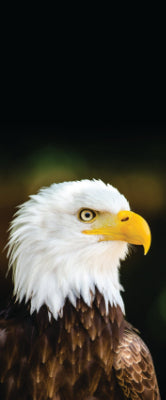 Versatile Collection Stock images