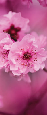 Versatile Collection Stock images